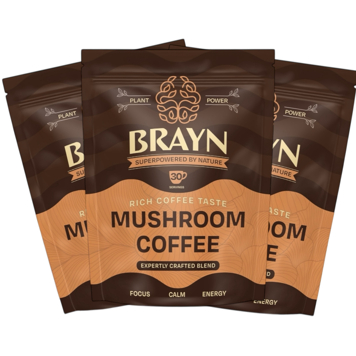 Brayn Mushroom Coffee | 30 Servings