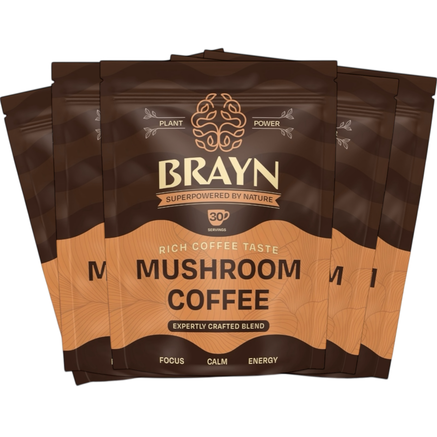 Brayn Mushroom Coffee | 30 Servings