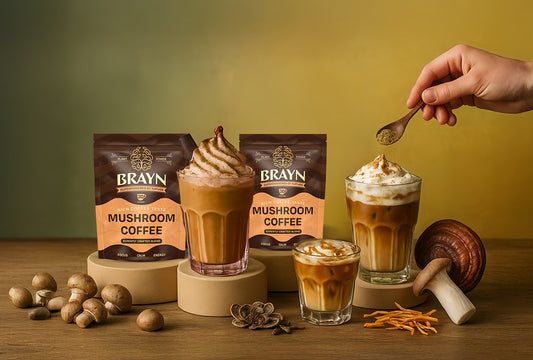 Tired of Mid-Day Crashes? Here's How Mushroom Coffee Changed My Life as a Busy Professional
